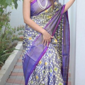 Pochampally silk saree